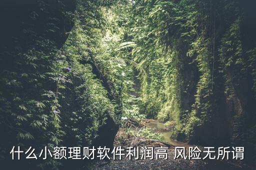 什么小額理財(cái)最安全，什么小額理財(cái)軟件利潤高 風(fēng)險(xiǎn)無所謂