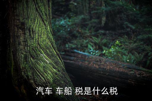 汽車車船稅是怎么樣,車船稅是對(duì)車輛、船舶征收的稅