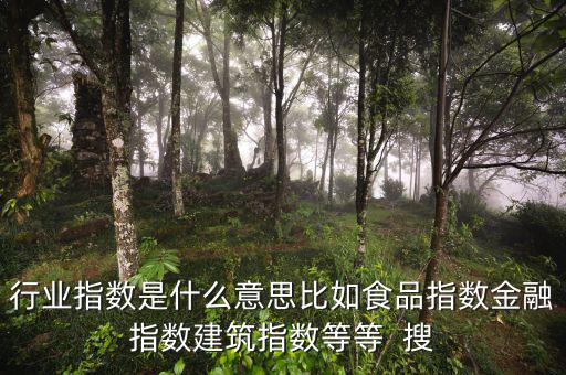 申萬行業(yè)指數(shù)是什么，申萬證券行業(yè)指數(shù)分級是什么指數(shù)基金嗎