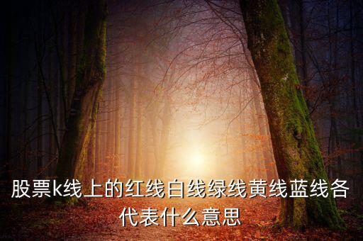 地圖綠線紅線代表什么，手機百度地圖路線中有紅色綠色藍色等不同的顏色代表什么