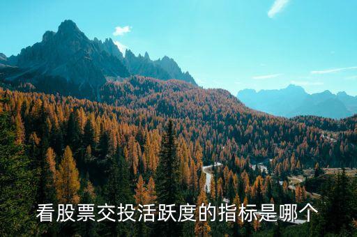 股性活躍看什么指標(biāo)，股票的活躍度在股票里看那個指標(biāo)呀
