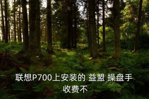 聯想P700上安裝的 益盟 操盤手 收費不
