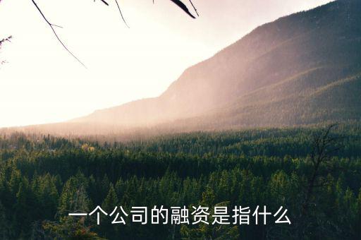 什么叫融資，一個公司的融資是指什么