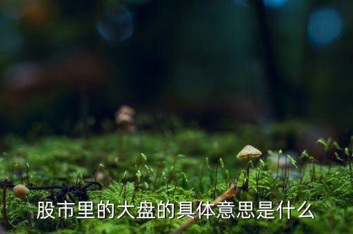 股票中大盤是什么意思，股市里的大盤的具體意思是什么