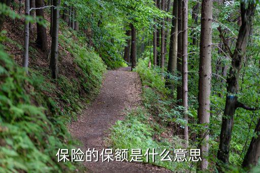保險保額是什么意思，保險里的保額是啥意思