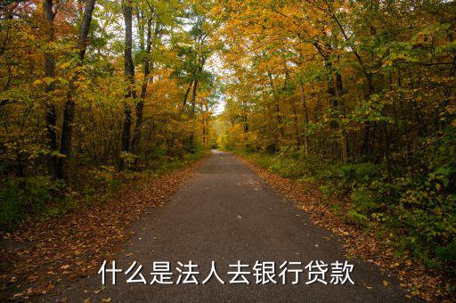 什么是法人銀行，中國農(nóng)業(yè)銀行是什么法人