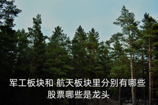 航天電器股票怎么樣,航天發(fā)動機龍頭:航天電子、中國重工