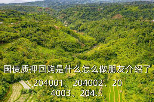 國債質(zhì)押回購是什么怎么做朋友介紹了 204001、204002、204003、204...