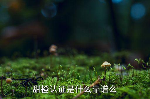 甜橙金融公司是什么，便捷的網(wǎng)貸理財企業(yè)是什么