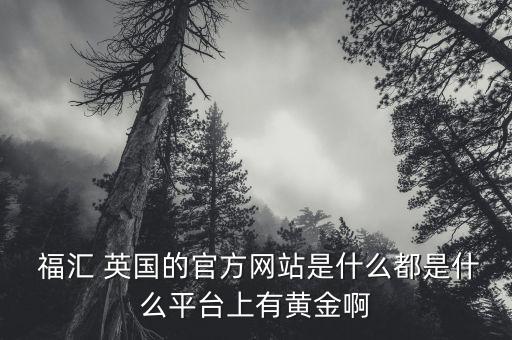  福匯 英國的官方網(wǎng)站是什么都是什么平臺(tái)上有黃金啊