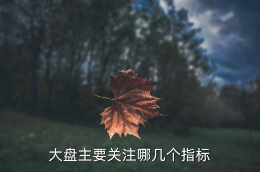 股市大盤關(guān)注什么指數(shù)，大家看大盤走勢都是看的哪個指數(shù)