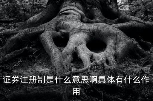證券注冊(cè)制什么意思，證券注冊(cè)制是什么意思啊具體有什么作用