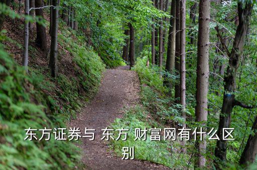  東方證券與 東方 財富網有什么區(qū)別