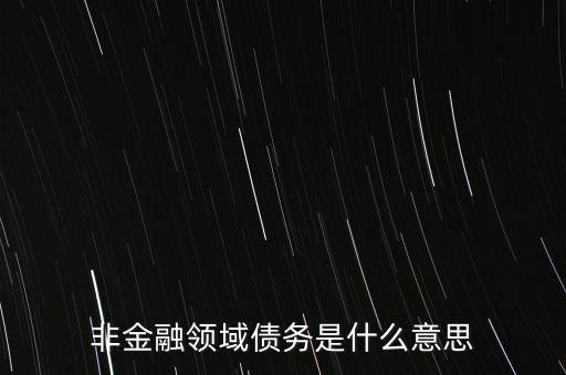 非金融領域債務是什么意思