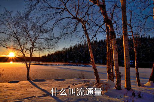 什么是流通卡量，什么叫流通量