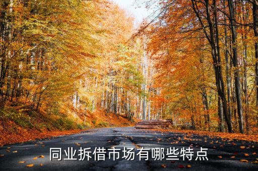 同業(yè)拆借市場有哪些特點(diǎn)