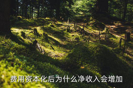 為什么資本化會使roa增加，法定存款準(zhǔn)備金率的提高對ROA的影響謝謝啦