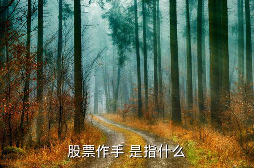 什么是股票作手，什么是作手