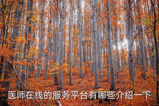 408什么平臺，408是什么車