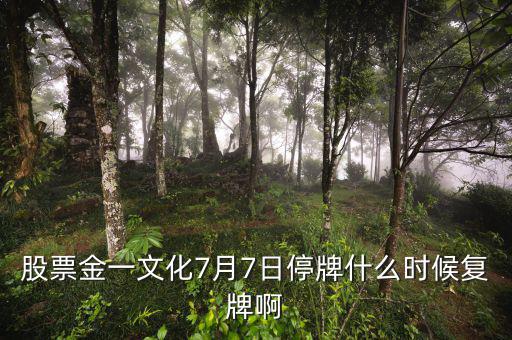 金一文化什么時候復(fù)牌，股票金一文化7月7日停牌什么時候復(fù)牌啊
