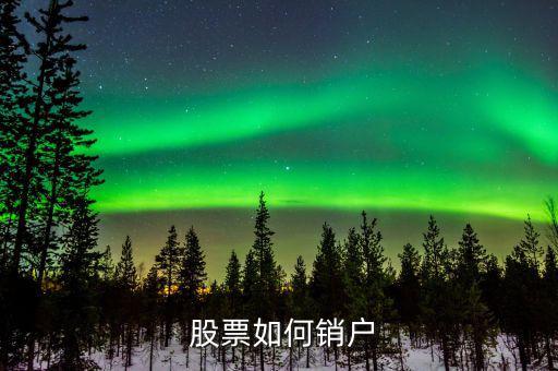 網(wǎng)上開(kāi)的股票賬戶(hù)怎么注銷(xiāo),股票開(kāi)戶(hù)后可以銷(xiāo)戶(hù)嗎?