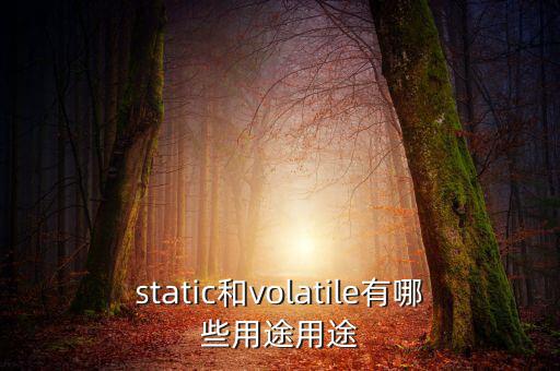 vtm有什么用，static和volatile有哪些用途用途