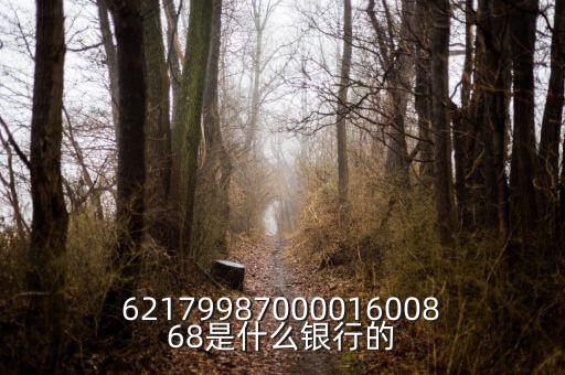中債資信屬于什么銀行，6217998700001600868是什么銀行的