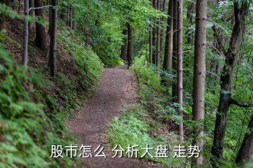 股市怎么 分析大盤(pán) 走勢(shì)