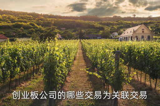 關聯(lián)交易多存在與什么的公司，哪些交易屬于上市公司關聯(lián)交易求解答