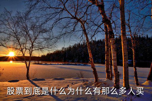 股票到底是什么為什么有那么多人買(mǎi)