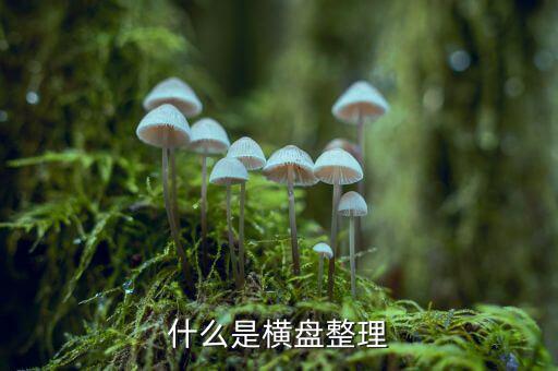 橫盤(pán)是什么意思，什么是橫盤(pán)整理