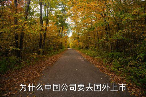 中國企業(yè)為什么要在境外上市，為什么有公司要到境外上市