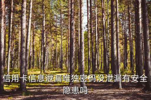 信用卡信息泄露有什么風(fēng)險(xiǎn)，信用卡信息泄漏唯獨(dú)密碼沒泄漏有安全隱患嗎