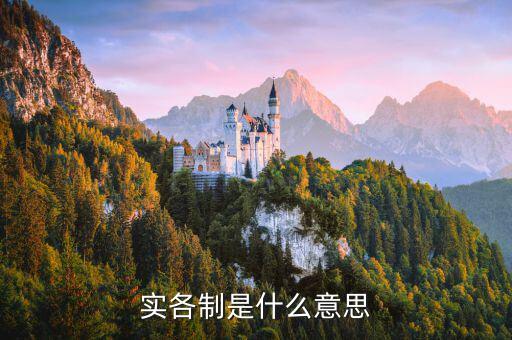 什么是實(shí)貨制，實(shí)體制是什么意思