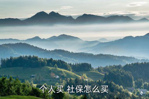 一年的社保怎么買(mǎi),個(gè)人投稿社保兩種形式(一)