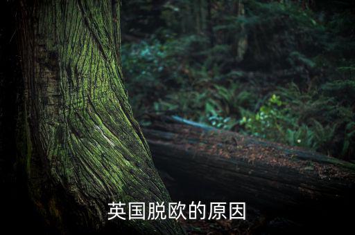 英國(guó)脫歐的原因