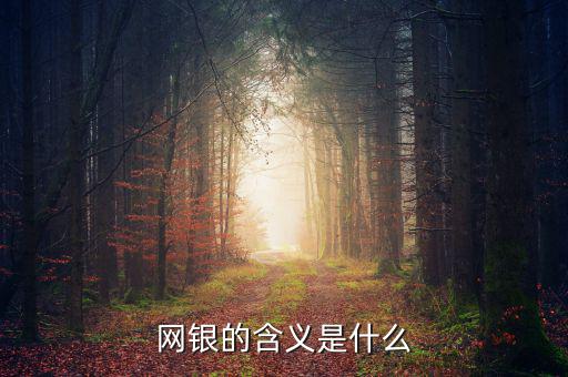 網銀存入代表什么意思，網銀的含義是什么