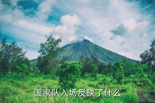 國家隊進(jìn)場是什么意思，國家隊入場反映了什么
