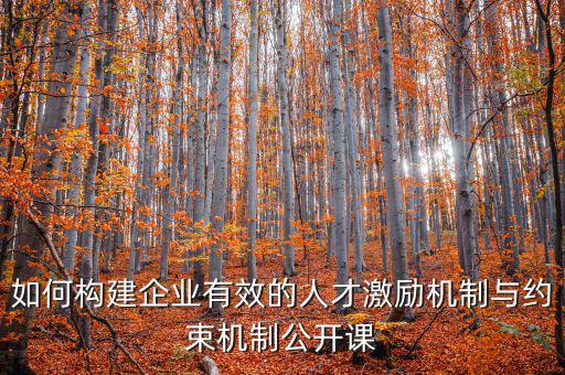 財務激勵與約束機制的設計原則是什么，財務激勵約束機制的概念是什么