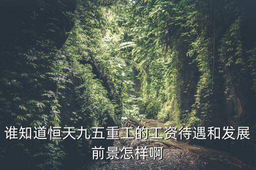 恒天九五什么時(shí)候上市，誰(shuí)知道恒天九五重工的工資待遇和發(fā)展前景怎樣啊