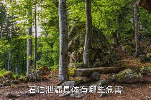 原油泄漏影響什么部門(mén)，石油泄漏具體有哪些危害