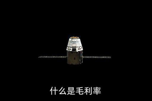 毛利率是什么，毛利率是什么意思