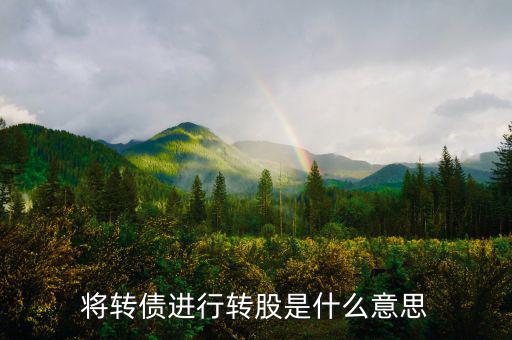 什么是債轉(zhuǎn)股，將轉(zhuǎn)債進行轉(zhuǎn)股是什么意思