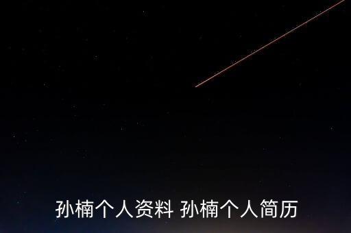  孫楠個(gè)人資料 孫楠個(gè)人簡歷
