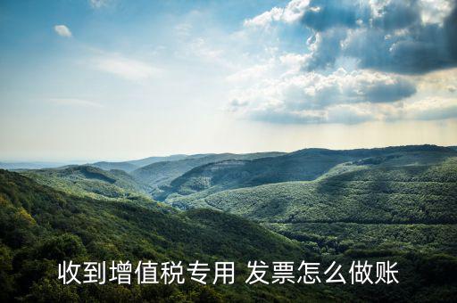 收到增值稅專(zhuān)用 發(fā)票怎么做賬