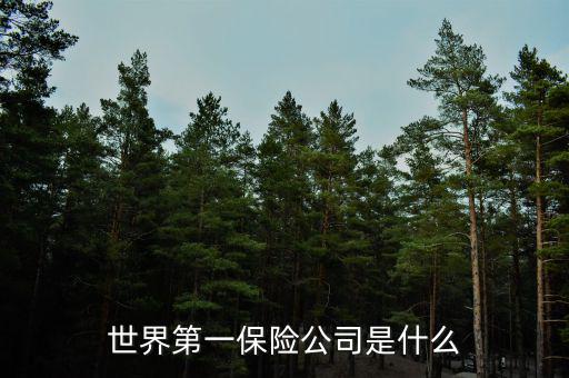 世界上第一家保險公司叫什么，世界第一保險公司是什么