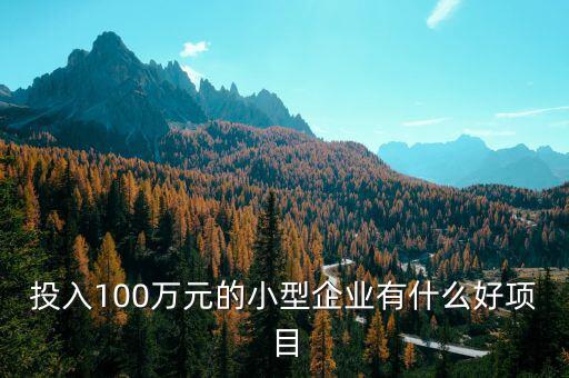 什么企業(yè)愛(ài)投資項(xiàng)目，投入100萬(wàn)元的小型企業(yè)有什么好項(xiàng)目