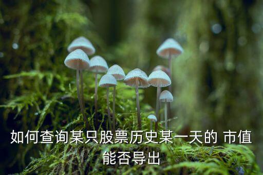 如何查詢某只股票歷史某一天的 市值能否導出