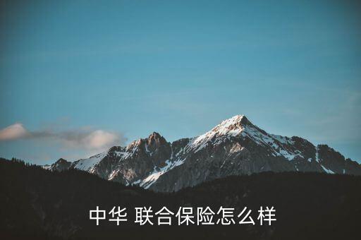 中華聯合怎么貸款,中華聯合車險比較靠譜!