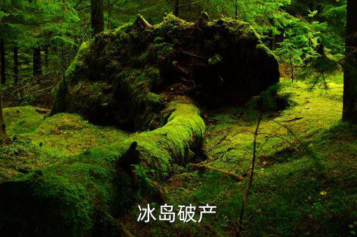 冰島破產(chǎn)是什么，冰島破產(chǎn)一個國家破產(chǎn)是什么意思國家會解體嗎會有什么后果